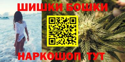 крисы Кунгур
