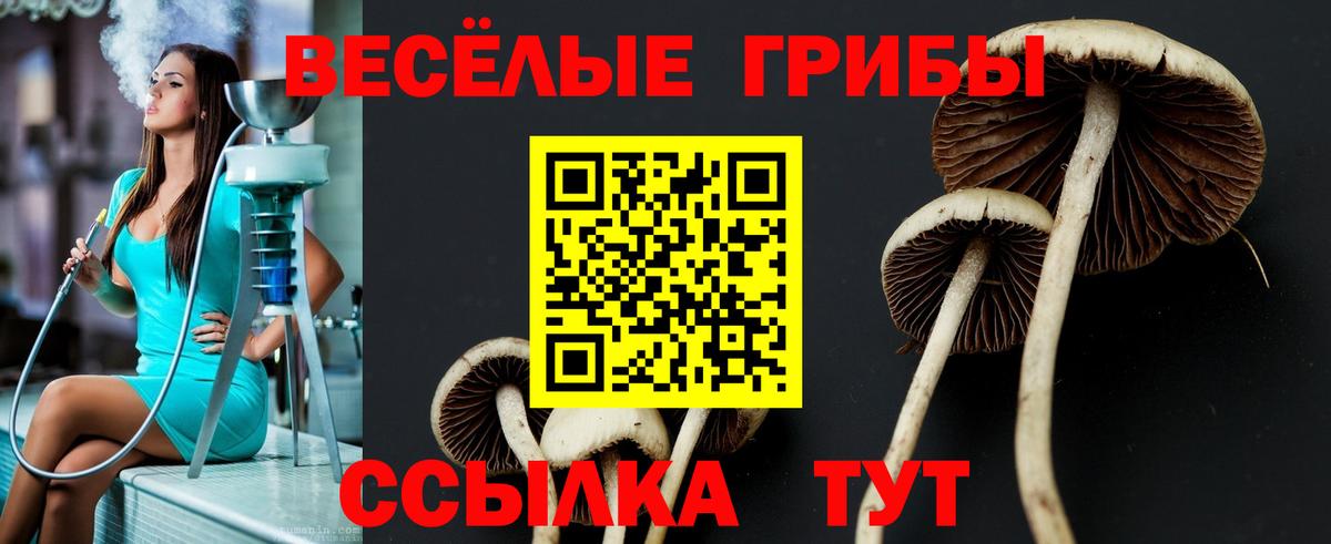 Галлюциногенные грибы Psilocybe  Вход с VPN  Иваново 